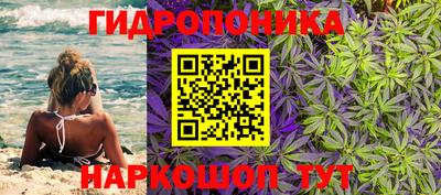 бошки Владимир
