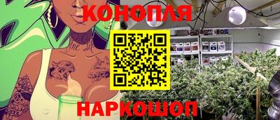 бошки Владимир
