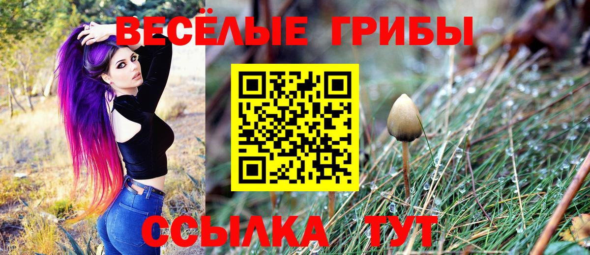 Галлюциногенные грибы Psilocybe  Вход с VPN  Бугуруслан  Псилоцибиновые грибы ЛСД 